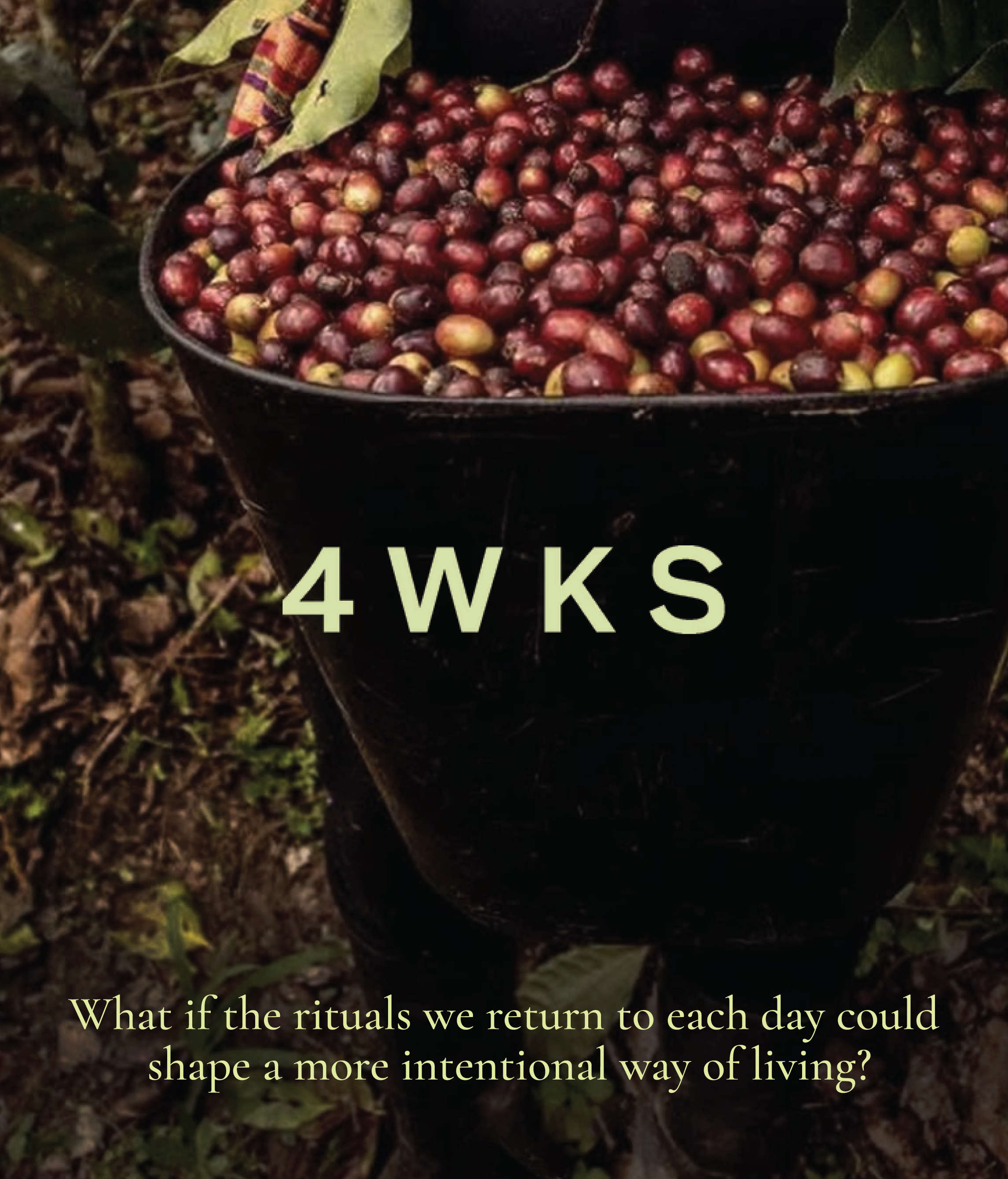 An interview with 4wks