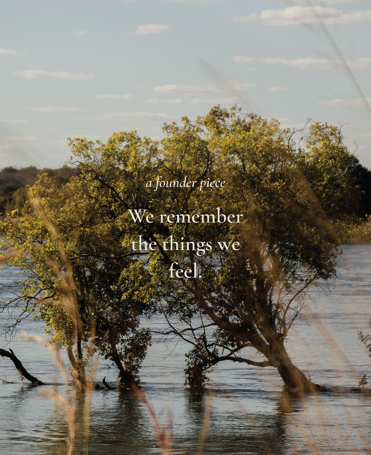 We remember the things we feel.