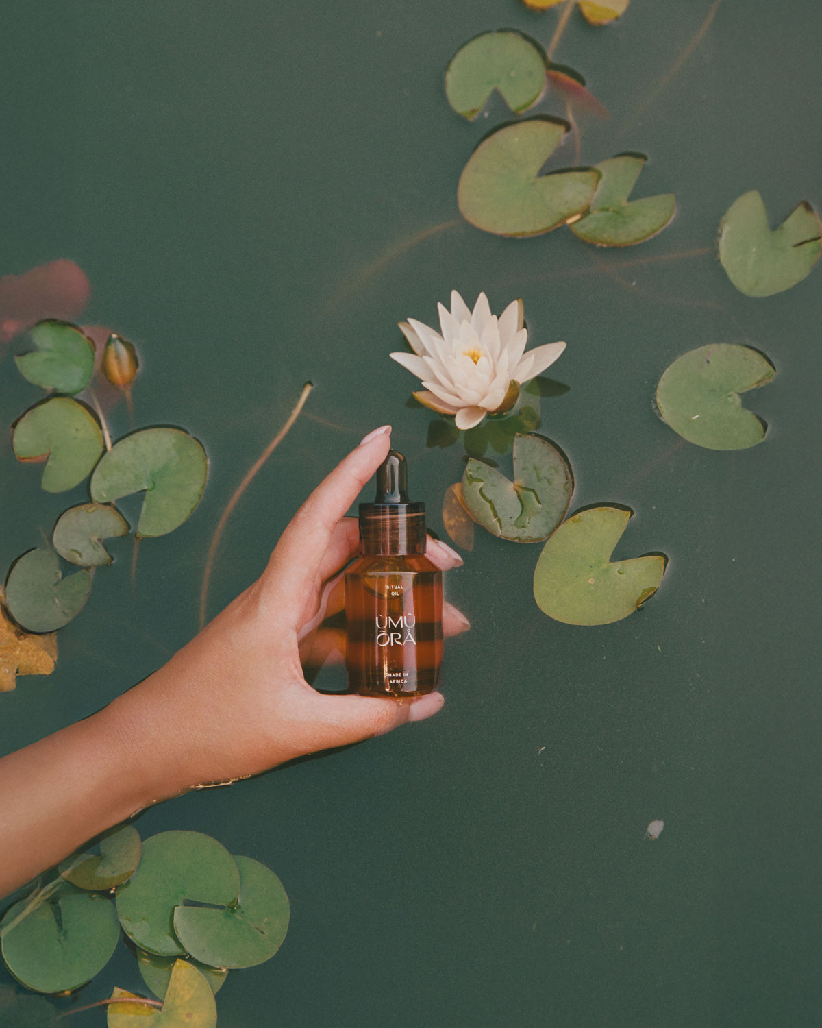 African Chamomile & Eucalyptus Ritual Oil